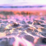 2010-08-23-19-03-10-795