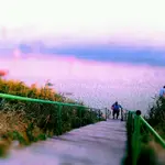 2010-08-23-19-13-24-548