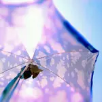 2010-08-24-11-08-57-834