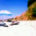 2010-08-24-11-13-01-059