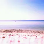 2010-08-30-11-21-21-609